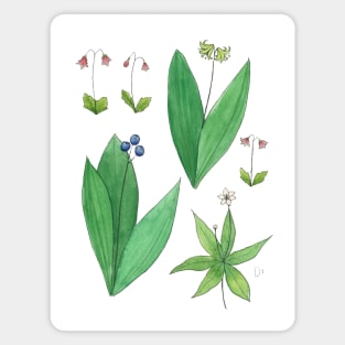 Borealis Wildflower Watercolor Illustrations Magnet